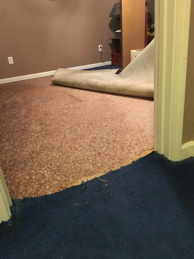 Carpet pad removal revealing water damage during Drying & Dehumidification in Secaucus